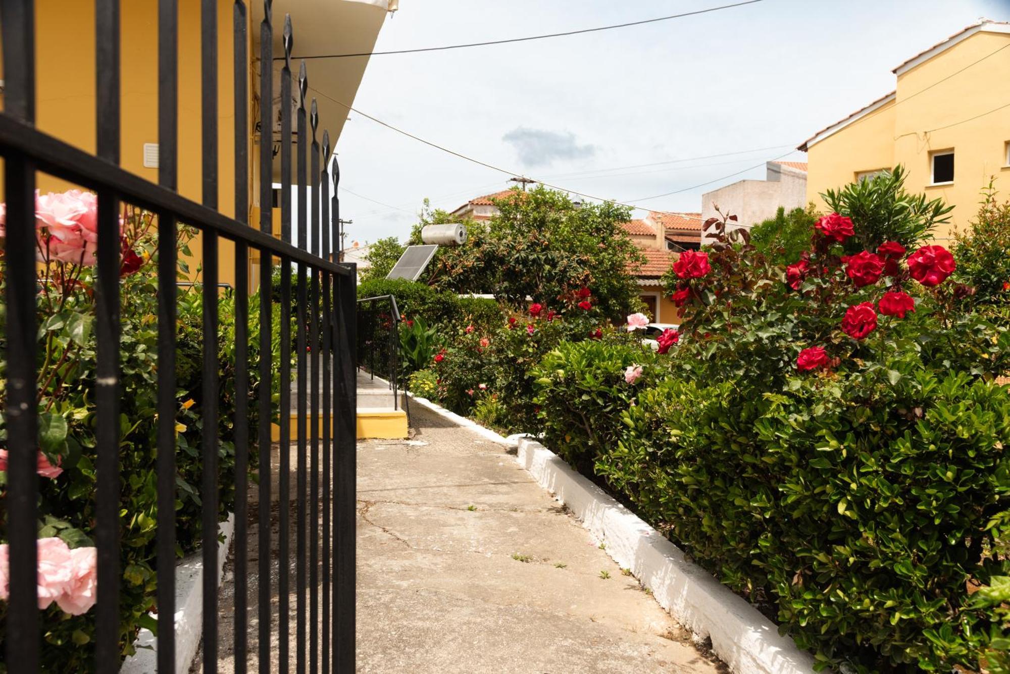 Kates Apartments Kávos Dış mekan fotoğraf